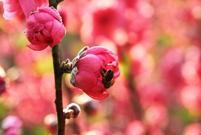 �����һ���