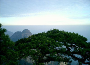 ���ݴ���ɽ