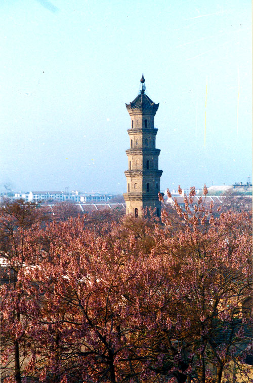 ����Ѧ����