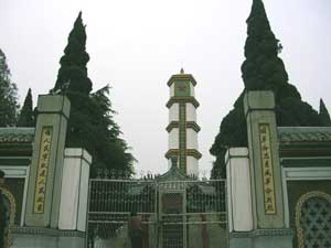 ������������ʿ��԰