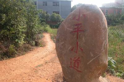 �ϲ�СƽС����ַ