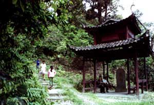 ���������ɽ