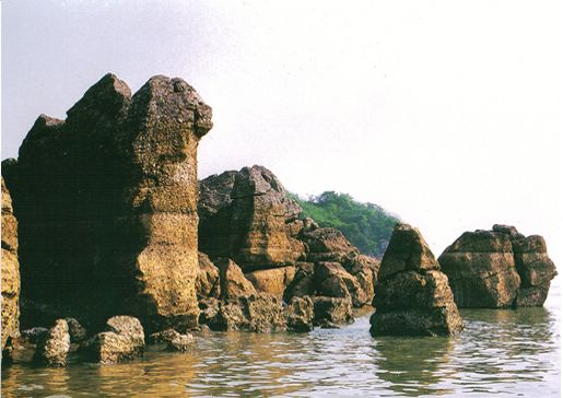 �Ž����ӻ���ɽ