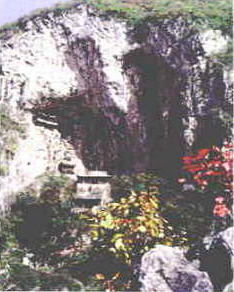 �Ž����Ŷ�