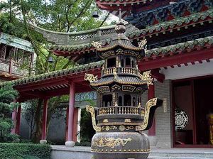 �Ž�������