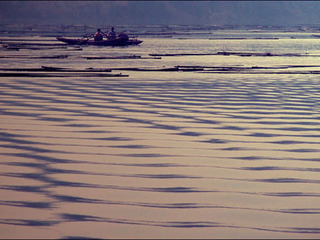 ���ݾ�����̲���