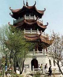 ���������ɲ