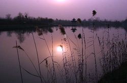 ������̬��԰