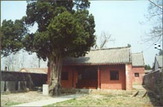 ������̽����