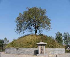 ��������Ĺ