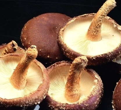 ��ũ��Ģ��