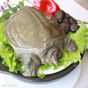 �������