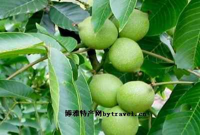 �ϻ�����