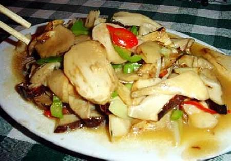 �ϻ�����