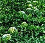 ���š��˽䡱����