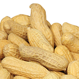 �²�С����