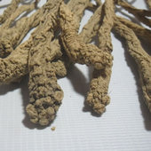 ��ɽ����