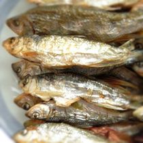 ���ɺ�С����