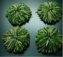 ��ĵ����