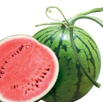 ����ᡱ������