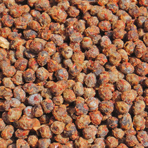 ����ζ���