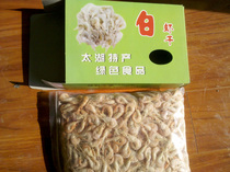 ����̫����Ϻ