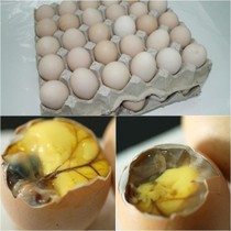 �Ͼ�������