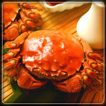 ���κ���բз