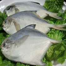 ���ĺ���