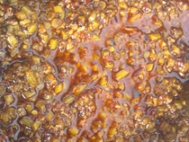 ֥������