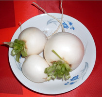 �������֦�ܲ�