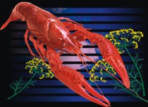 ������Ϻ