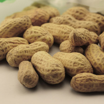 �˼�С����