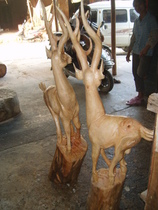 ����ľ��