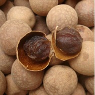 ʯ������