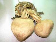 ����ͷ��