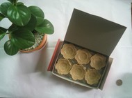 �⺣������