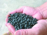 �����ڶ�