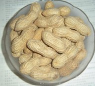 ���ǻ���