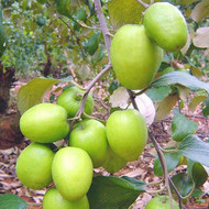 ̨������