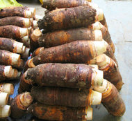 ��Ϫ����