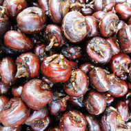 �ٸ�����