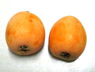 ʼ������