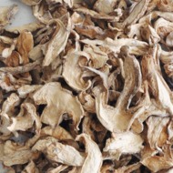 ���ױ�����ԭ��Ģ