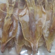 ����ĸ��