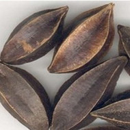 ʹ����ҩ��