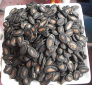 �����ڹ���