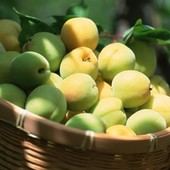 گ��������÷