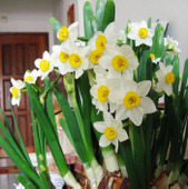 ����ˮ��