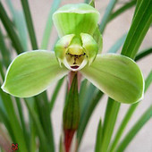 �Ͼ�����